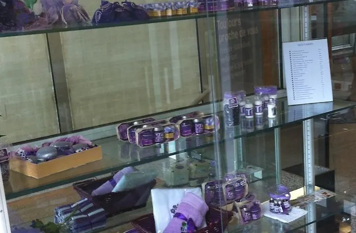 Comfort Toulouse Sud 3*